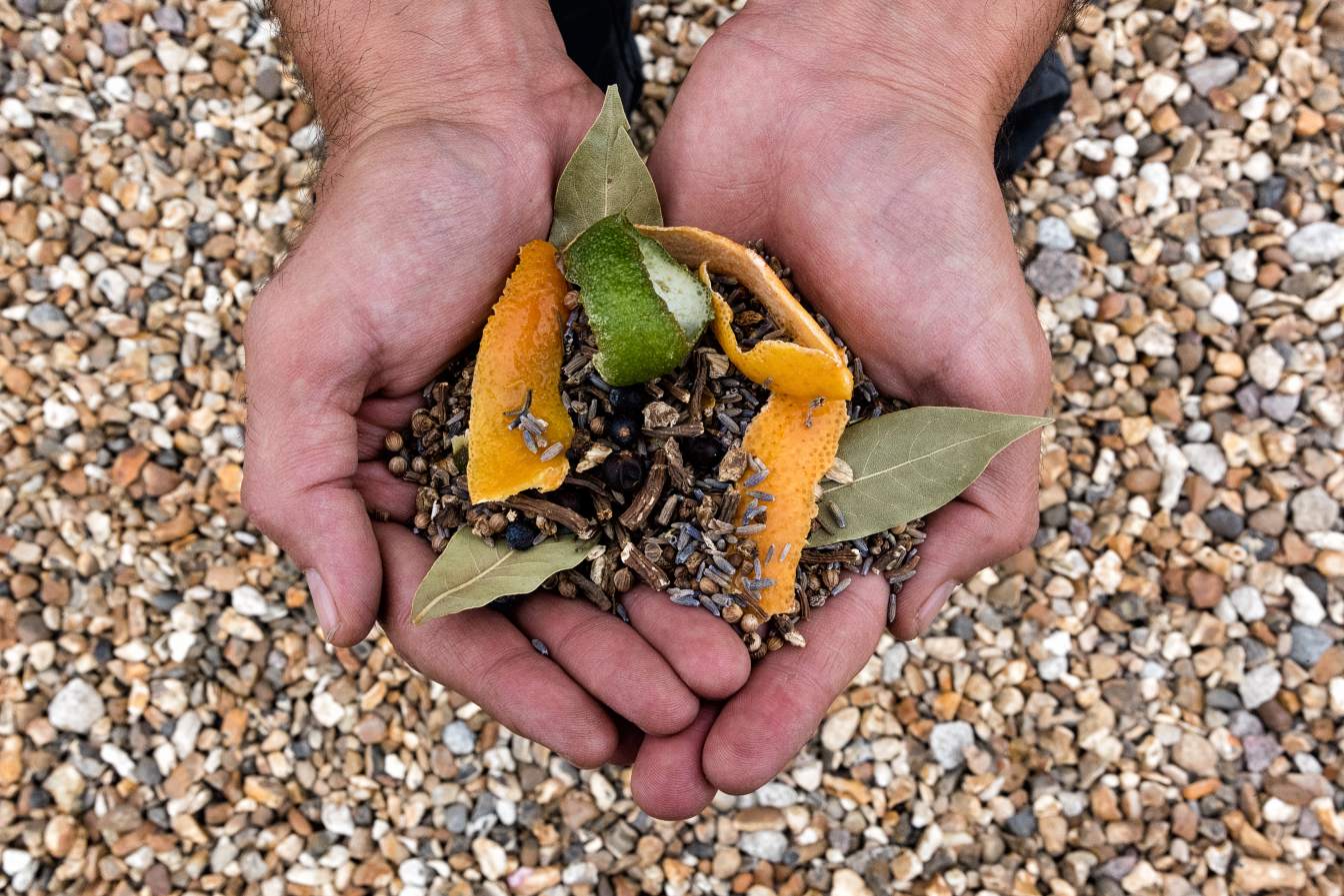 hands holding gin botanicals